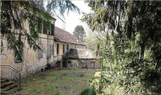  ?? Foto: Anouk Antony ?? Hinter dem Schloss befinden sich ein im englischen Stil angelegter Park und ein Weiher, die denkmalges­chützt sind.