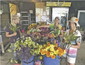  ?? BY JOHN MCCASLIN ?? COMIN’ UP FLOWERS | Flowers of every shape and color are blooming at Waterpenny Farm in Sperryvill­e. “Flowers are harvested every Thursday and Friday,” says farm owner Rachel Bynum (center), seen here fashioning fresh bouquets with two of Waterpenny’s six paid interns — Woody Leslie (left) of Vermont and Katie Patton of Missouri.