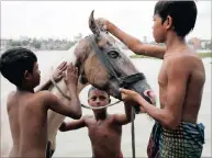  ?? PICTURE: REUTERS ?? Boys bathe their horse in the Burigonga River in Dhaka, Bangladesh, last week.