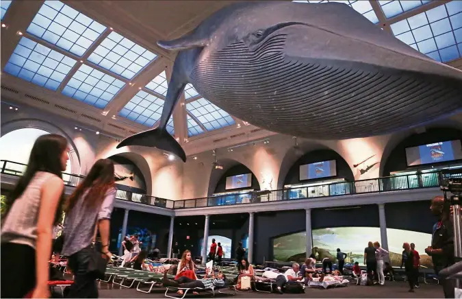  ?? — Photos: AP ?? Visitors at the American Museum of Natural History in New York prepare to spend the night under the blue whale exhibit in the Milstein Hall of Ocean Life during an adults-only sleepover.