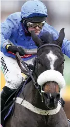  ??  ?? Young gun: Star Gate winning at Sandown on December 4