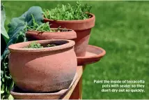  ??  ?? Paint the inside of terracotta pots with sealer so they don’t dry out so quickly.