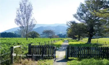  ??  ?? Above: The track at the Greytown end with the stopbank on one side and plantings on the other. Below left: A fence with an entrance just enough for one cyclist.