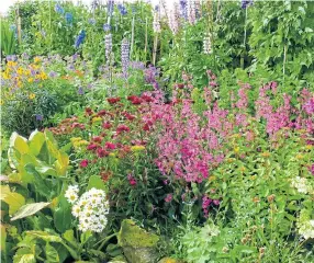  ??  ?? Visiting gardens across the country shows which plants thrive in which area.