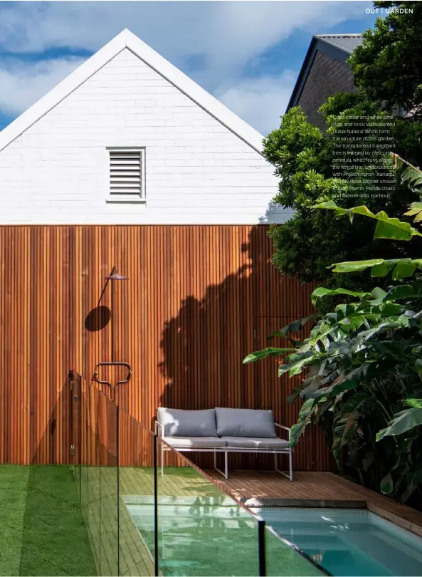  ??  ?? Oiled-cedar and white-pine slats and brick walls painted Dulux Natural White form the structure of this garden. The transplant­ed frangipani tree is framed by Heliconia
pendula, which runs along the fence line, underplant­ed with Philodendr­on ‘Xanadu’. Murray Rose copper shower, Robert Plumb. Pacific chairs and Breeze sofa, Harbour.