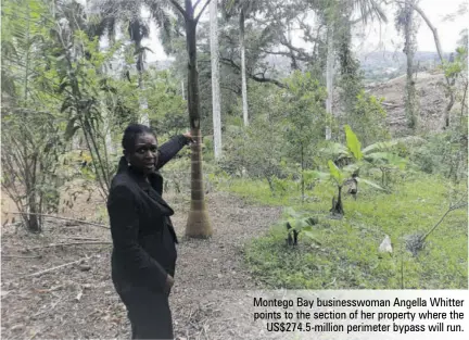  ?? ?? Montego Bay businesswo­man Angella Whitter points to the section of her property where the Us$274.5-million perimeter bypass will run.