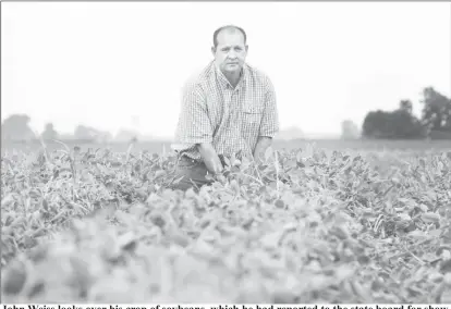  ?? REUTERS/Karen Pulfer Focht/File Photo ?? John Weiss looks over his crop of soybeans, which he had reported to the state board for showing signs of damage due to the drifting of pesticide Dicamba, at his farm in Dell, Arkansas, U.S. July 25, 2017. Picture taken July 25, 2017.