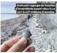  ??  ?? Anticosti regorge de fossiles d’invertébré­s ayant vécu il y a 447 à 437 millions d’années.