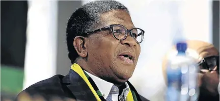  ?? / THULANI MBELE ?? Minister of Police Fikile Mbalula says people with informatio­n on other fake beauty pageants should contact law enforcemen­t agencies.