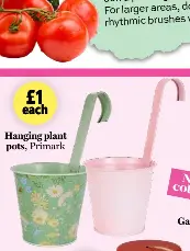 Jobs to do this month - PressReader