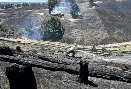  ?? IAIN MCGREGOR/STUFF ?? A volunteer firefighte­r hoses down a hotspot near Redwood Valley Rd, near Nelson.