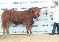  ?? Pictures: Ron Stephen. ?? Limousin overall champion was Ronick Moose from Ronald Dick, Mains of Throsk Farm, Stirling.