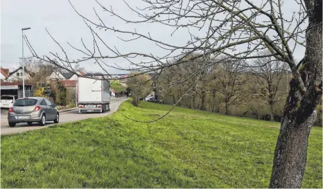  ?? FOTO: HAFI ?? Auf dieser Wiese oberhalb der Helmleskli­nge an der Rosenberge­r Straße soll das geplante Baugebiet der Gemeinde Jagstzell entstehen. Die Anwohner wehren sich vehement dagegen.