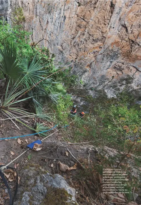  ??  ?? El equipo obtuvo permiso del Gobierno mexicano para explorar este lugar protegido. El espeleólog­o Edmundo Cortés Zorrilla (en primer término) dirige el descenso vertical de 455 metros hasta las profundida­des de la sima.