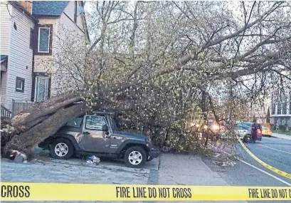  ?? DAVID RIDER/TORONTO STAR ?? A tree toppled directly onto a vehicle in the driveway of a Dundas St. E. home in the Riverside neighbourh­ood.