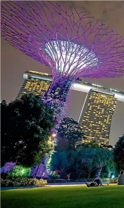  ??  ?? The spectacula­r Supertree Grove at Gardens by the Bay.