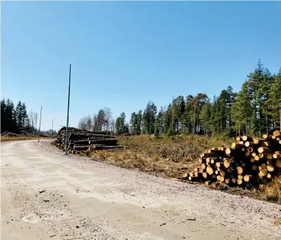  ?? Bild: Yvonne Olsson ?? Skogen är röjd, ledningar och gatlyktor på plats i stora delar av det nya bostadsomr­ådet i Skaven/öxnered. Byggstarte­n för de första bostäderna ser ut att gå i början av nästa år.