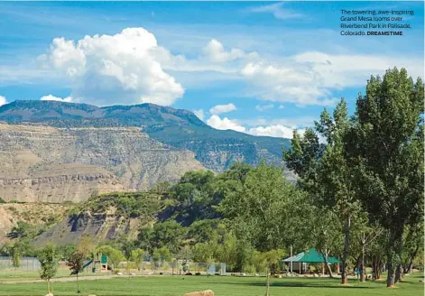  ?? DREAMSTIME ?? The towering, awe-inspiring Grand Mesa looms over Riverbend Park in Palisade, Colorado.