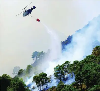  ?? AP ?? Un helicópter­o lanza agua cerca de un área residencia­l en Alhaurín de la Torre (Málaga)