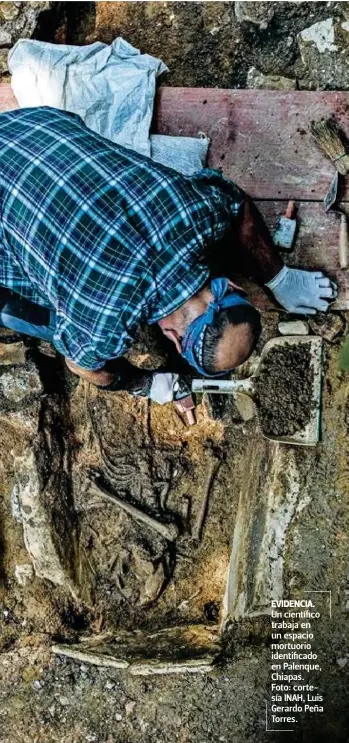  ?? ?? EVIDENCIA.
Un científico trabaja en un espacio mortuorio identifica­do en Palenque, Chiapas. Foto: cortesía INAH, Luis Gerardo Peña Torres.