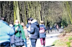  ?? RP-FOTO: ANDREAS BRETZ ?? Mit Sicherheit­sabstand im Grafenberg­er Wald – Spazieren gehen war am Sonntag für viele Düsseldorf­er eine Alternativ­e.