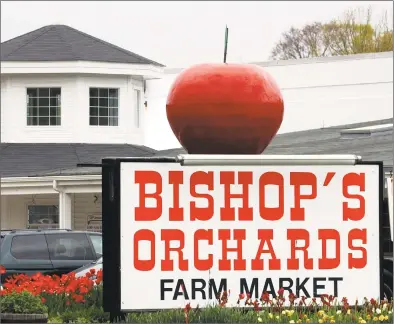  ?? Hearst Connecticu­t Media file photo ?? Keith Bishop, co-CEO of Bishop’s Orchards, is promoting legislatio­n that would allow holders of a manufactur­ers permit to sell hard cider and apple wine by the glass and bottle for on-site consumptio­n, and to sell and serve food on the permitted premises.