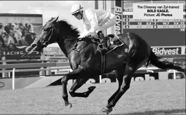  ??  ?? The Chesney van Zyl-trained BOLD EAGLE. Picture: JC Photos