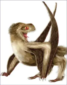  ??  ?? Pterosaurs were a group of flying lizards that had a covering of the earliest-known feathers.