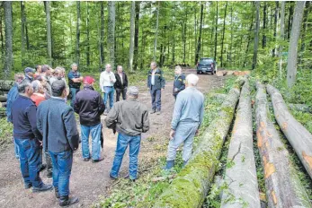  ?? SZ- FOTO: ELISABETH SOMMER ?? Rund 20 Teilnehmer besichtigt­en mit Thomas Herrmann die Justinger Wälder.