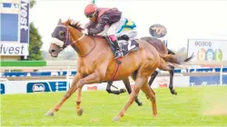  ??  ?? MIXED FEELINGS. Coral Fever, winner of the R4-million Premier’s Champions Challenge, carries top weight in this year’s Vodacom Durban July at Greyville on July 7, but has landed a decent No 4 draw for the R4,25-million race.