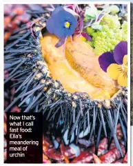  ??  ?? Now that’s what I call fast food: Ella’s meandering meal of urchin