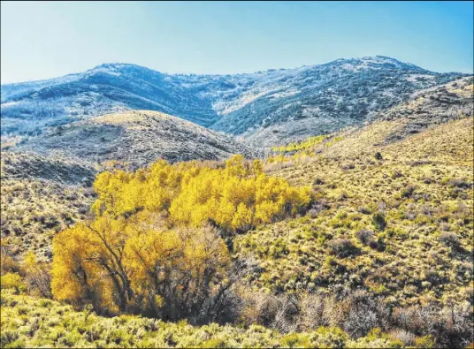  ??  ?? Parts of the Ruby Mountains in Northern Nevada have been considered for possible oil and gas exploratio­n. Patrick Donnelly Center For Biological Diversity