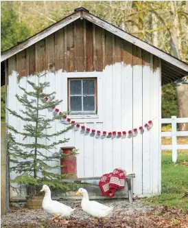  ??  ?? [TOP RIGHT] OUTDOOR CHARM. Having outbuildin­gs on the property provides more of a canvas to decorate. It doesn’t need to cost much to add some creative, festive touches to the chicken coop, which is visited daily to feed the chickens and ducks. Mini stockings and a tree from the mountains add to the merriment outdoors.