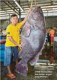 Ikan Kerapu Tikus Adalah Antara 3 Jenis Ikan Kerapu Yang Termahal Di Dunia Ikankerapu Koperasi Penternak Akuakultur Pantai Kundor Kelantan Berhad Facebook
