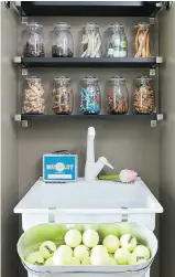  ??  ?? Vern Yip’s pet-focused mud room for his dogs assigns spaces for toys and treats, plus a sink for easy cleanup.