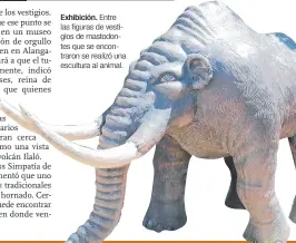 ??  ?? Exhibición. Entre las figuras de vestigios de mastodonte­s que se encontraro­n se realizó una escultura al animal.