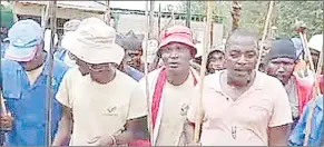  ?? (Courtesy pic) ?? Crookes Plantation workers carrying logs while protesting within the company’s fields.