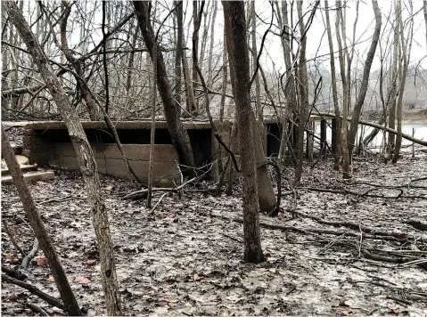  ?? Associated Press ?? ■ This photo taken March 10 in Arnold, Missouri, shows the ruins of an abandoned house along the Meramec River. The city of Arnold has bought out hundreds of homes along the waterfront, creating more open space and wetlands where the river can spread out during floods without doing serious damage. Arnold is among a number of U.S. heartland communitie­s taking such steps as an alternativ­e to relying solely on levees and other man-made infrastruc­ture to control floods.