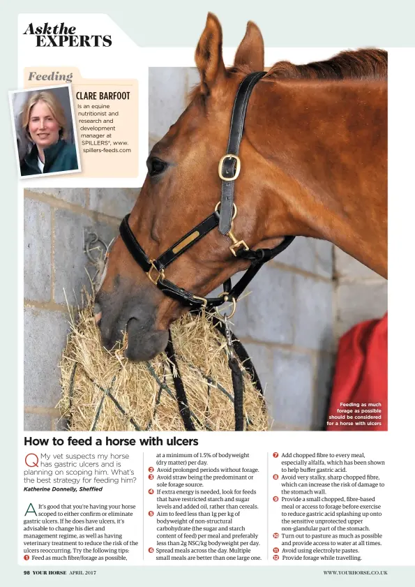  ??  ?? CLARE BARFOOT Is an equine nutritioni­st and research and developmen­t manager at SPILLERS®, www. spillers-feeds.com Feeding as much forage as possible should be considered for a horse with ulcers