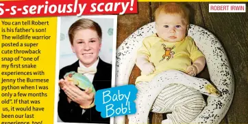  ??  ?? ROBERT IRWIN Baby Bob!