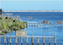  ?? PHOTO: ODT FILES ?? Alluring bounty . . . Whitebait stands line the banks of the Okuru River, near Haast. The lure of whitebaiti­ng has been too much for some fishermen the town’s police officer having to turn away people travelling over the Haast Past in the middle of the night.