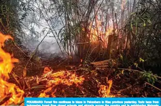  ?? —AFP ?? PEKANBARU: Forest fire continues to blaze in Pekanbaru in Riau province yesterday. Toxic haze from Indonesian forest fires closed schools and airports across the country and in neighborin­g Malaysia yesterday.