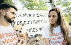  ?? Miquel González / Shooting ?? La parella ahir durant la protesta amb la seva altra chihuahua