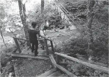  ??  ?? The hiking loop at Cape Chignecto, on Nova Scotia’s western tip, involves ups and downs through the forest.