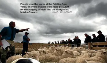  ?? DAVID UNWIN/STUFF ?? People view the wares at the Feilding Sale Yards. The yard owners were fined $146,250 for dischargin­g effluent into the Mangakino/ Ma¯kino Stream.