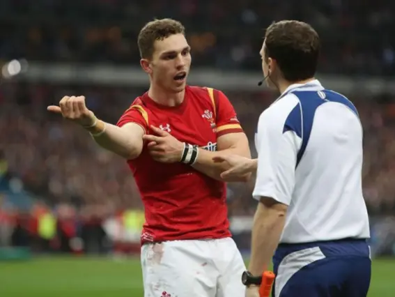  ??  ?? George North complained to Wayne Barnes that he had been bitten (PA)