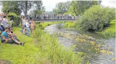  ??  ?? 1299 gelbe Plastikent­en schippern beim Entenrenne­n in Jungnau die Lauchert hinunter.