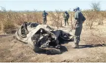  ??  ?? CRIME SCENE: A dead elephant’s face has been hacked off and its spine cut open in the Kruger National Park.