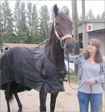  ??  ?? Reporting Star — with handler Claire Wyatt — will race at Sunday’s B.C. Derby at Hastings Racecourse.