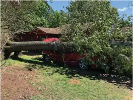  ?? Staff photo by Lori Dunn ?? ■ A large tree in the front yard of Arabella and Juan Sanchez’s house fell on their pickup during the storm Tuesday night. The couple were inside the house with five grandchild­ren.